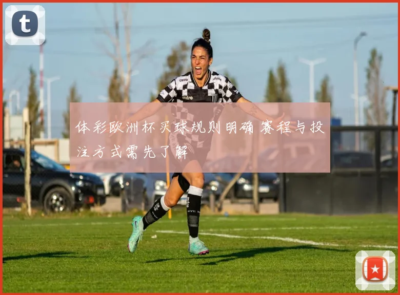体彩欧洲杯买球规则明确 赛程与投注方式需先了解