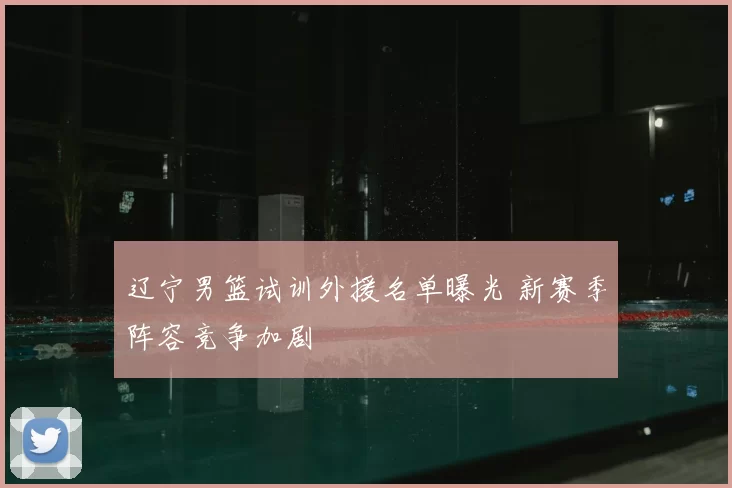 辽宁男篮试训外援名单曝光 新赛季阵容竞争加剧