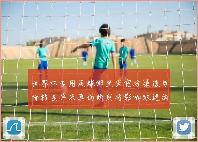 世界杯专用足球哪里买官方渠道与价格差异及真伪辨别将影响球迷购买