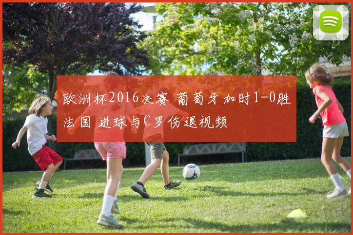 欧洲杯2016决赛 葡萄牙加时1-0胜法国 进球与C罗伤退视频