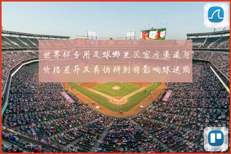 世界杯专用足球哪里买官方渠道与价格差异及真伪辨别将影响球迷购买